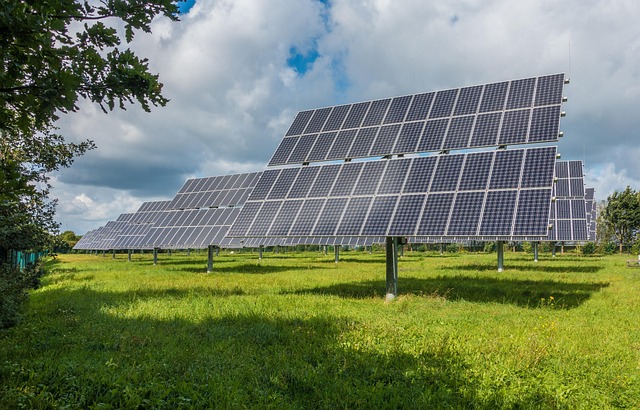Solar energy panels in a big field during summer.